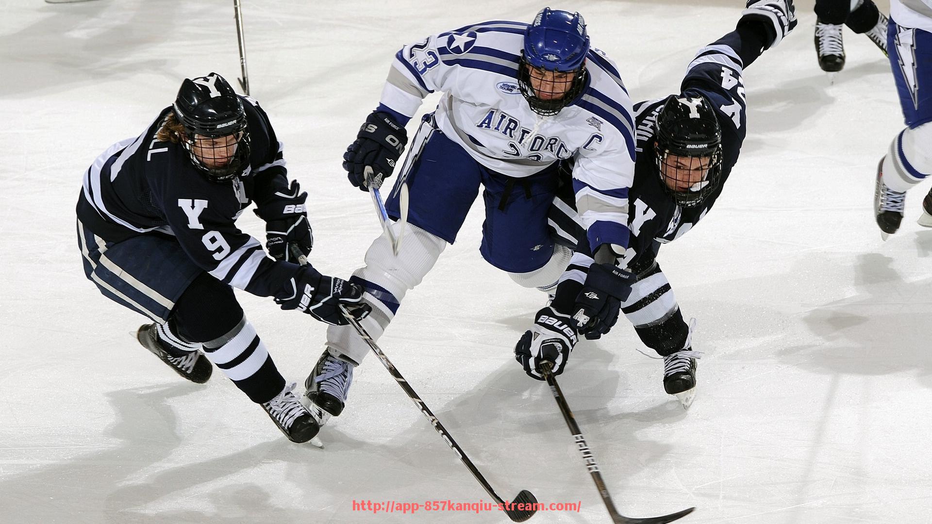 857直播看球平台-商场家庭健身器材一站式体验店，购物与锻炼的完美结合